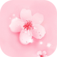 暴躁少女CSGO视频播放APP应用